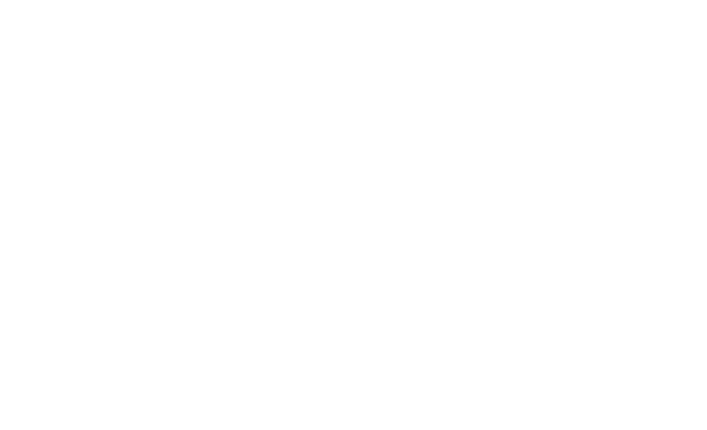 Visit Louisa logo