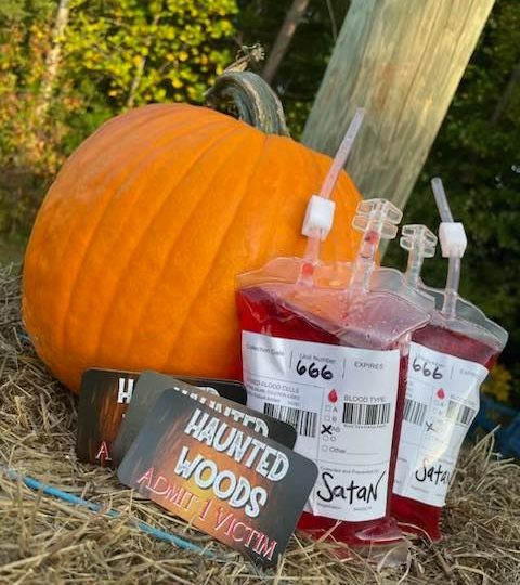 Mineral Haunted Woods