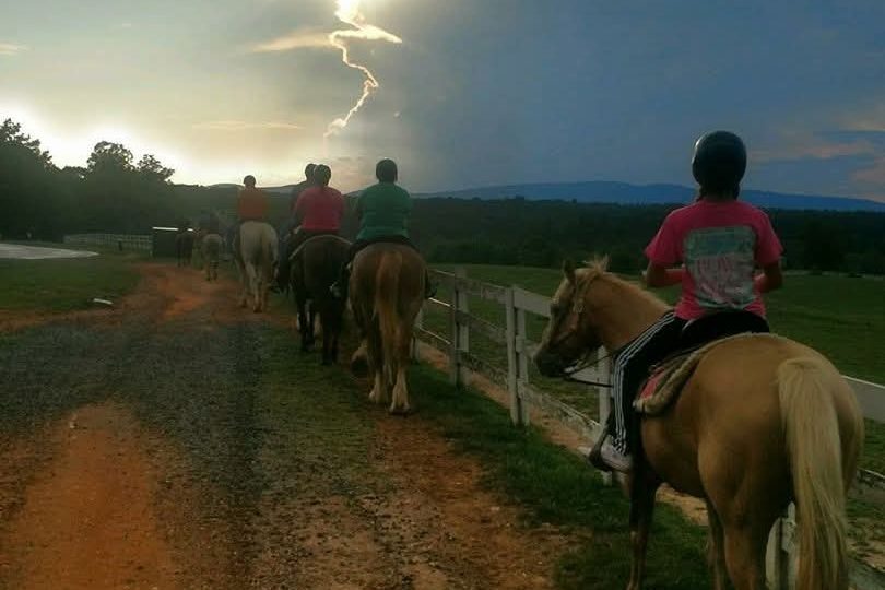 cook trail