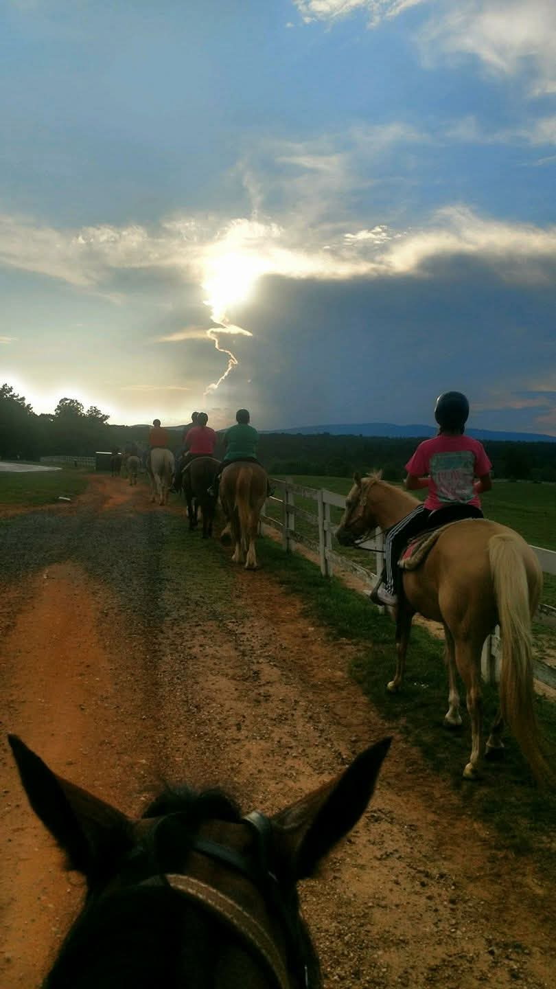 cook trail
