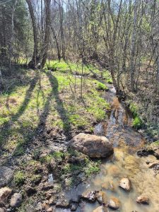 Trevilian Station Battlefield